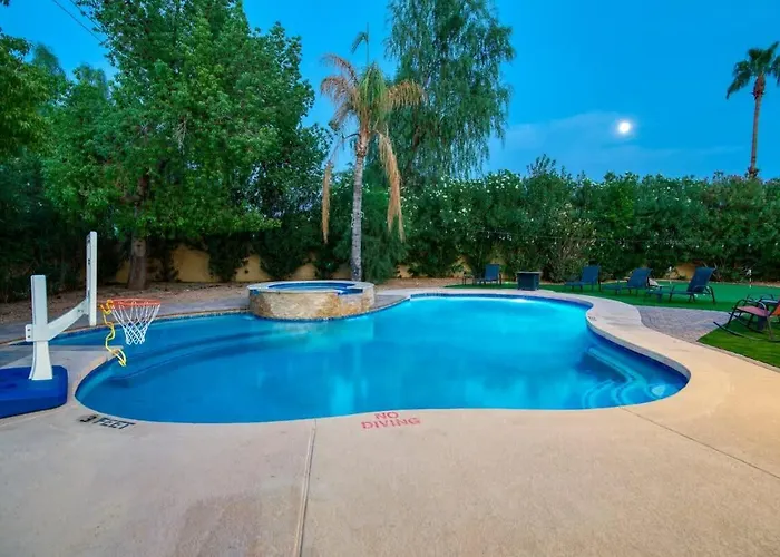 Desert Palms * Phoenix