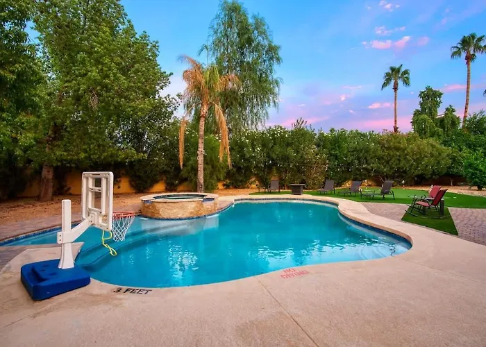 Desert Palms *